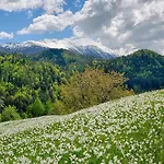 Pri Fencu