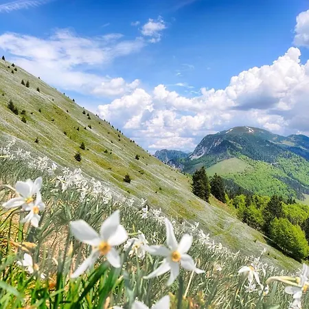 Pri Fencu Appartamento