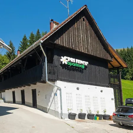 Pri Fencu Appartement *