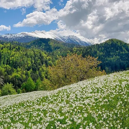 Pri Fencu
