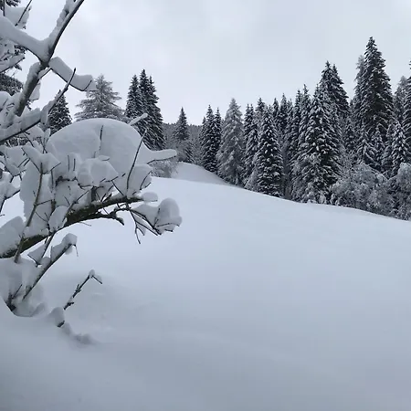 Pri Fencu * Jesenice