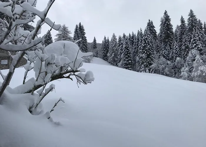 Pri Fencu * Jesenice